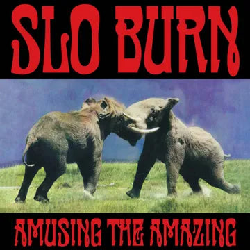 Slo Burn ‘Amusing The Amazing’ VINYL