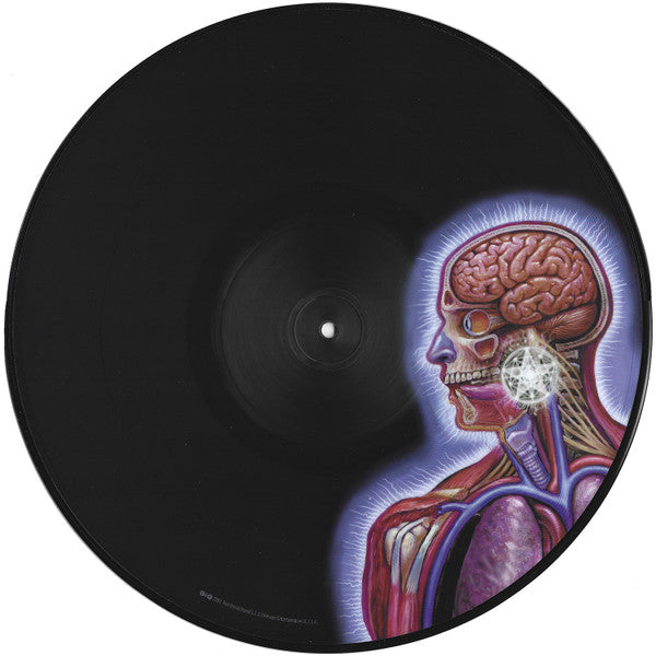 Tool 'Lateralus' DOUBLE PICTURE DISC VINYL – Landspeed Records